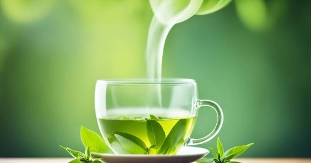 ما سر العلاقة بين الشاي الأخضر والذاكرة؟
