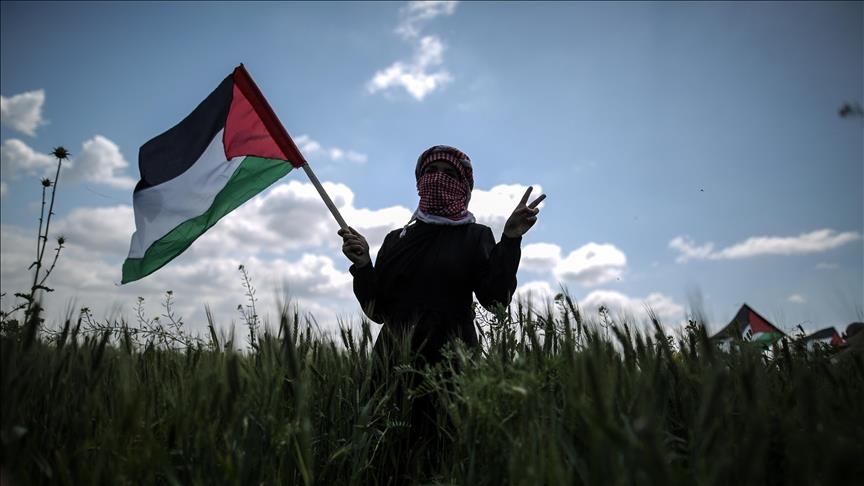 الإحصاء في يوم الأرض: الاحتلال استولى على حوالي 6 آلاف دونم في الضفة عام 2025