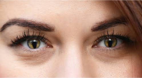 عين السيكلوب.. أصل العيون البشرية؟