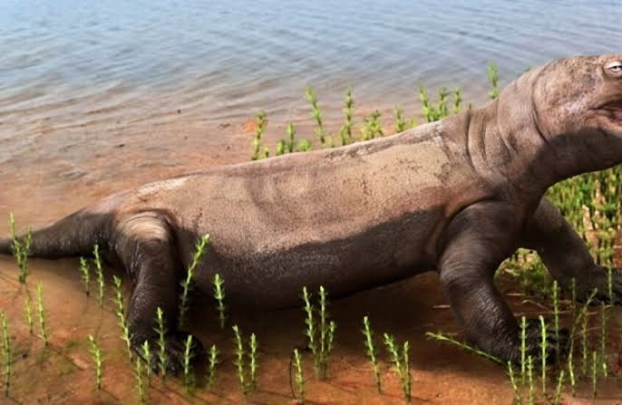 وجبة عمرها 260 مليون سنة تكشف أسرار المفترسات القديمة