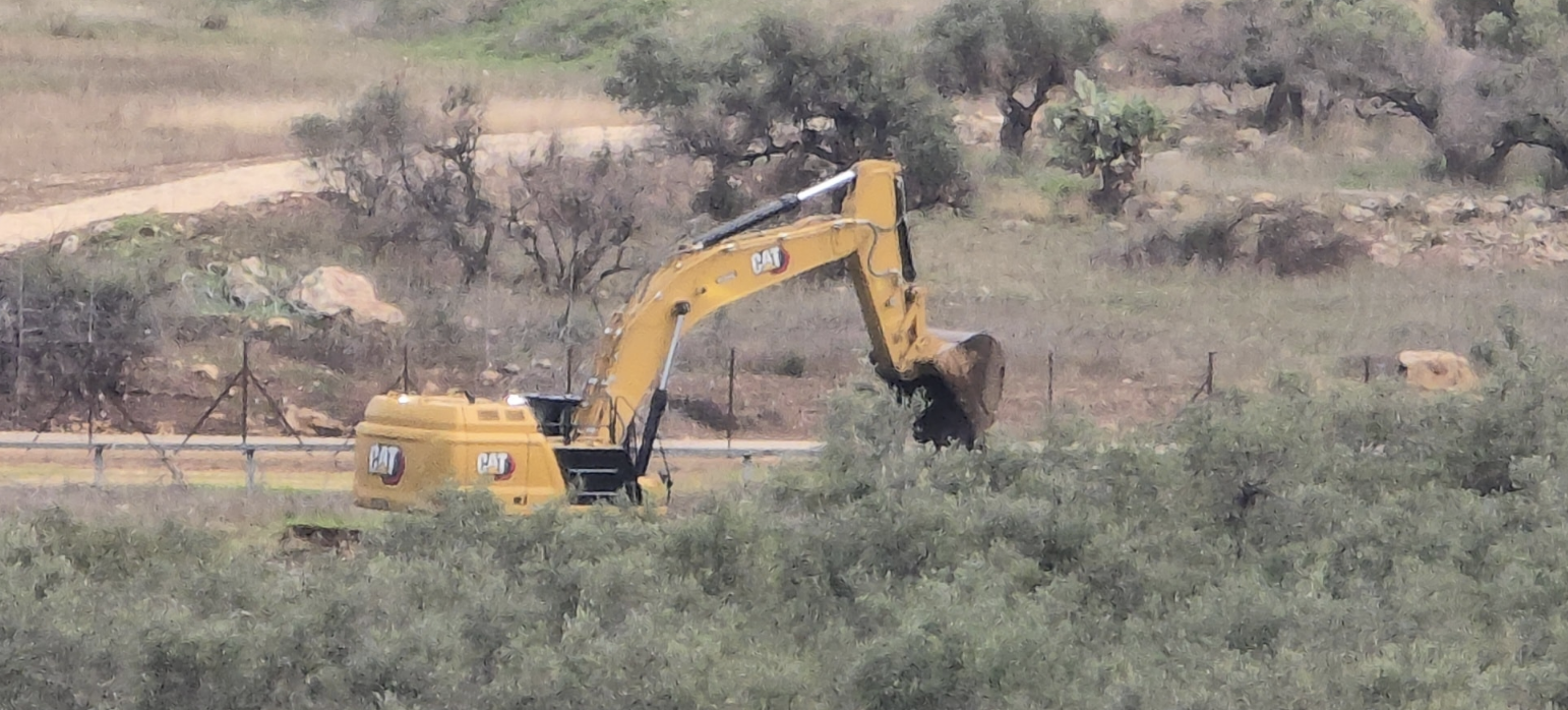 الاحتلال يقتلع عشرات أشجار الزيتون في تقوع جنوب شرق بيت لحم