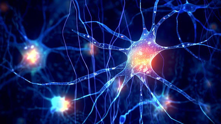 هل تحمل الخلايا النجمية سر علاج الاكتئاب؟