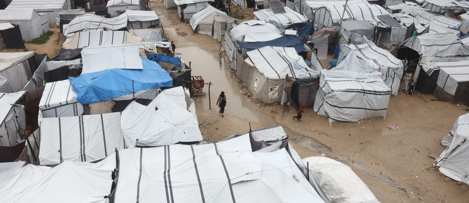 القوارض والحشرات تفاقم معاناة النازحين في غزة