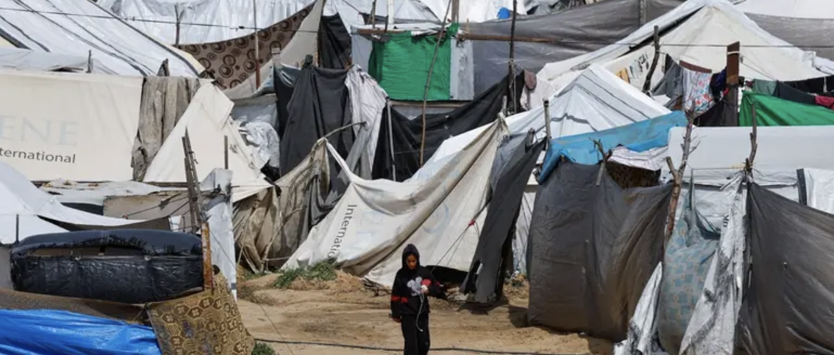 لتنفيذ خطة ترامب.. قائد القوة الدولية في غزة يزور مصر خلال أيام