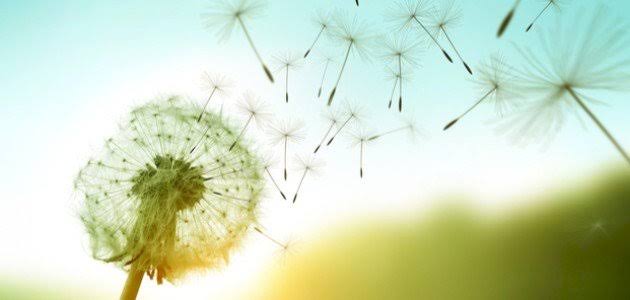 ربو العواصف.. خطر يتفاقم مع تغير المناخ