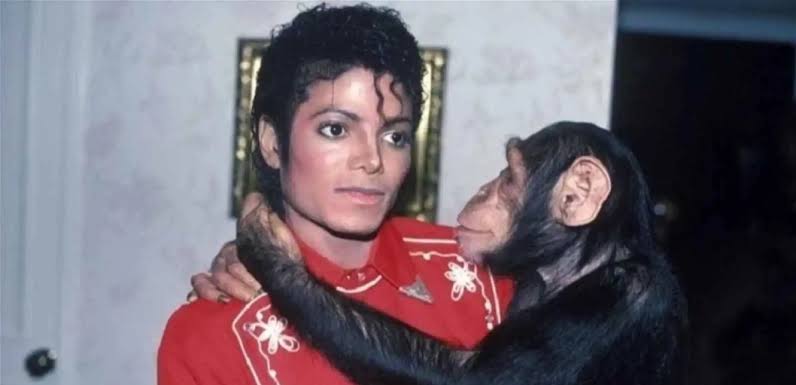 أين اختفى قرد مايكل جاكسون الشهير؟