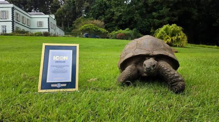جوناثان.. سلحفاة عمرها 194 عاماً