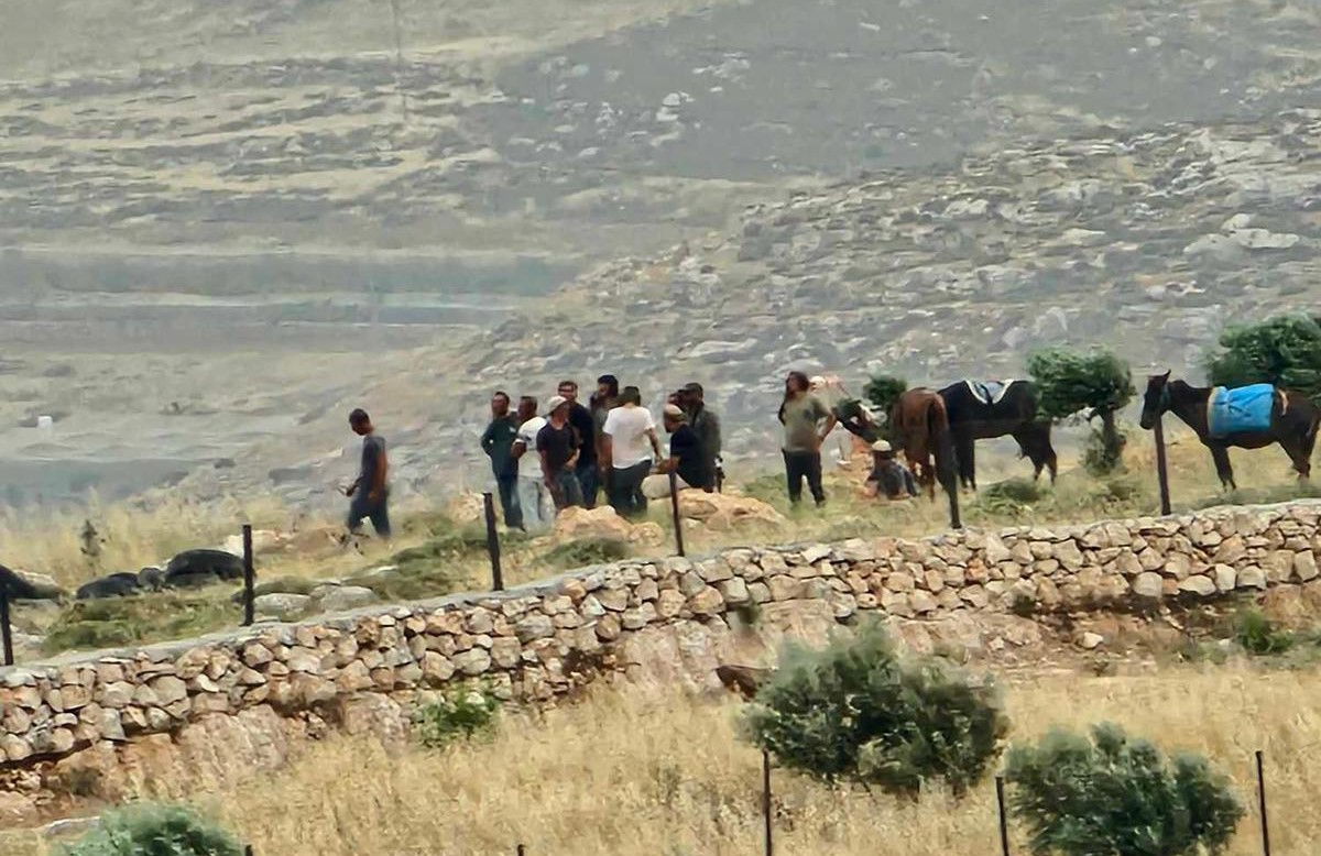 إصابة 4 مواطنين واقتلاع 60 شجرة في هجوم للمستعمرين جنوب الخليل
