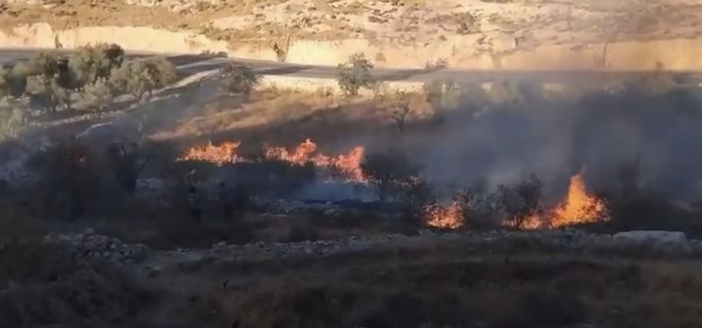 مستعمرون يحرقون أراضي زراعية في بورين جنوب نابلس