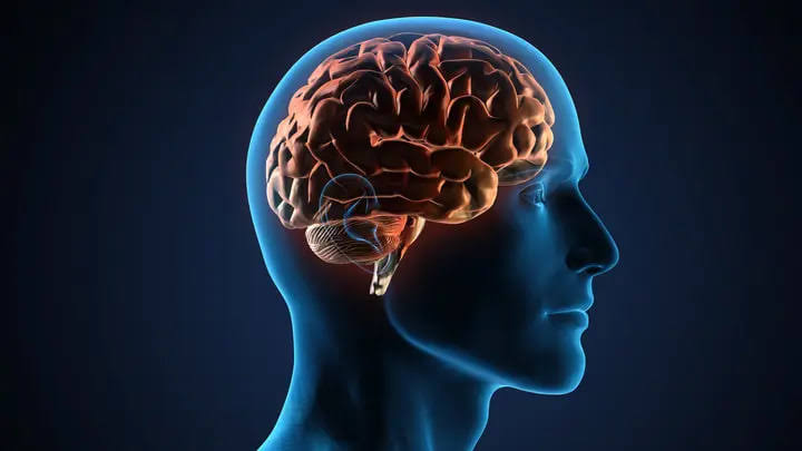 دراسة تكشف.. إساءة الطفولة تغيّر نشاط الدماغ