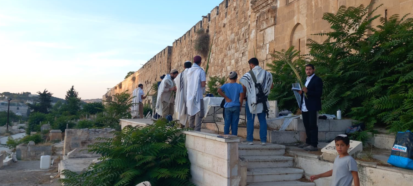 مستعمرون يدنسون مقبرة باب الرحمة المحاذية للمسجد الأقصى