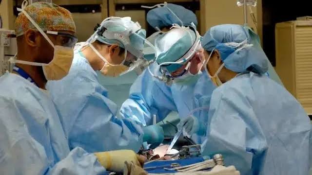 إنجاز طبي غير مسبوق.. زرع صفائح عضلية من الخلايا الجذعية لترميم القلب لأول مرة
