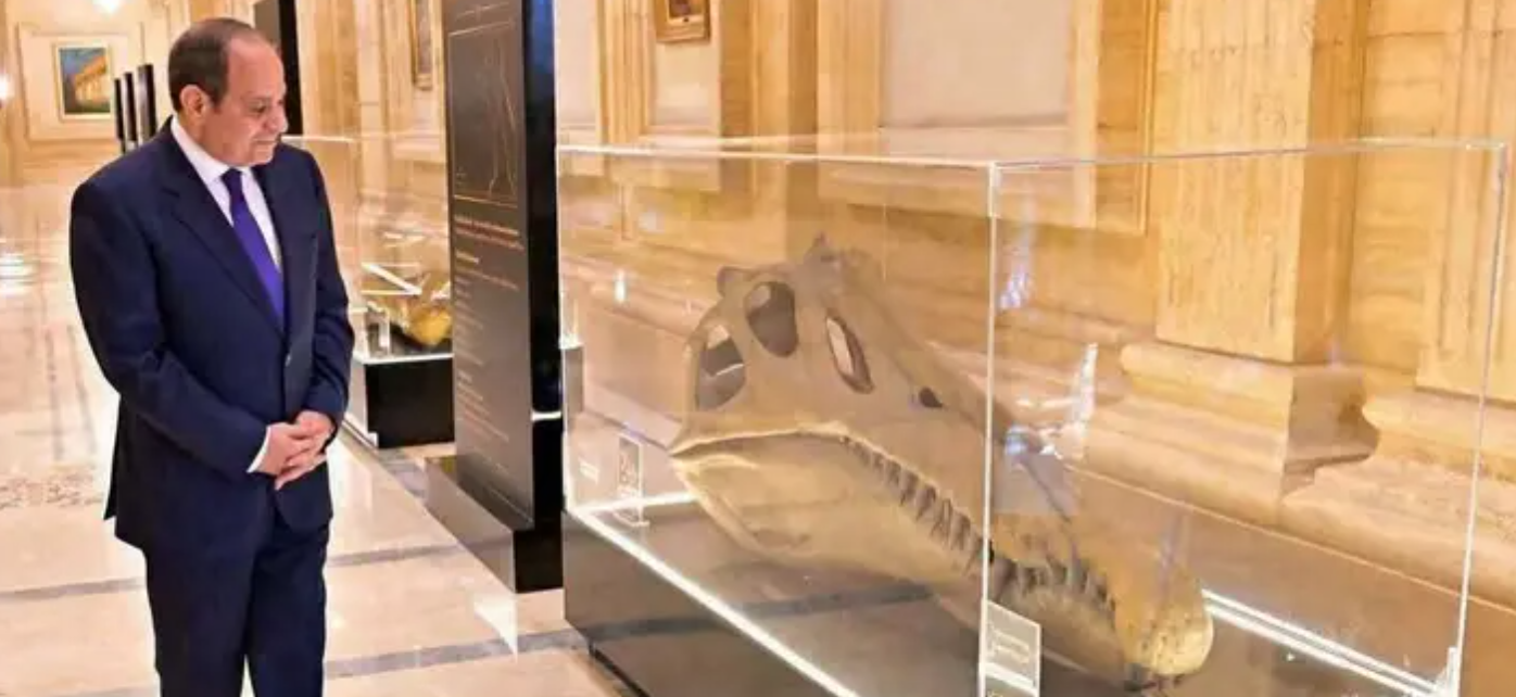 حفرية لديناصور مصري يعود تاريخها لـ100 مليون سنة تلفت انتباه السيسي