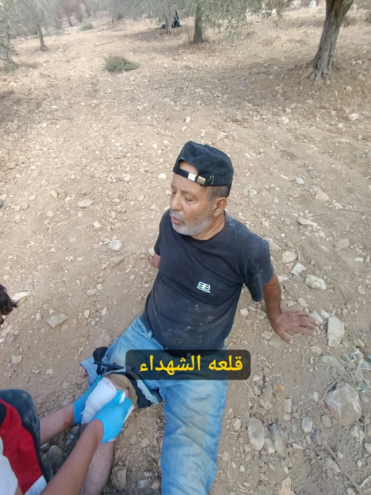 شهيد و14 إصابة في هجوم للمستعمرين على قاطفي الزيتون في برقة ورامين