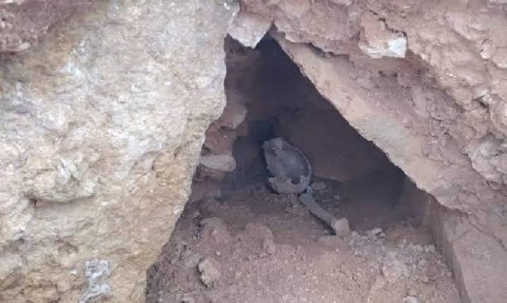 نبش قبور بحثًا عن "سحر".. يوقع 5 أشخاص في قبضة الأمن التونسي